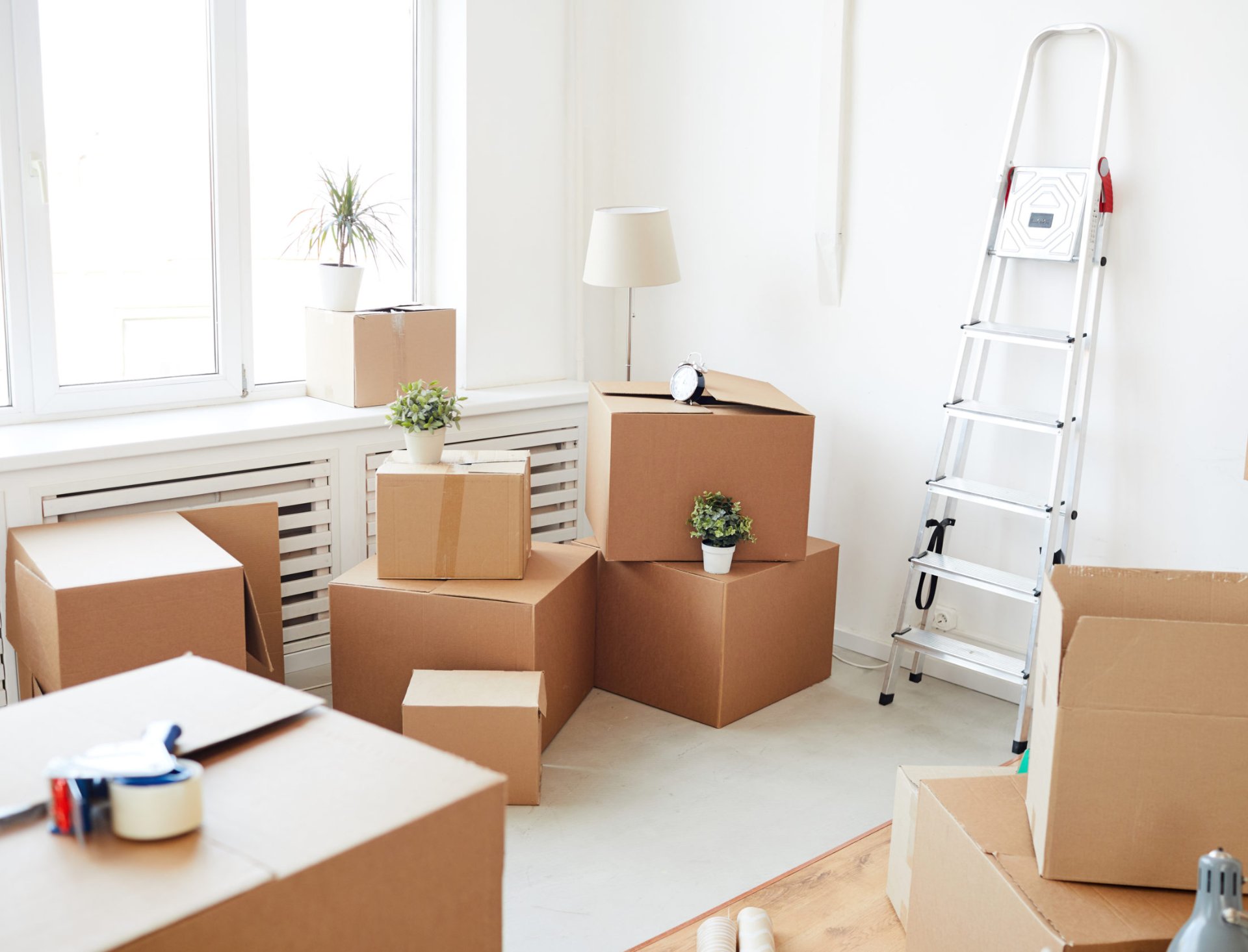 First Move In Decades? Here Are Our Top Tips